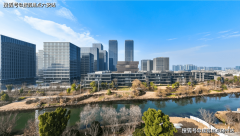 构成立异堆积的“雨林式生态”