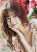 和插手司法及执纪法律勾当