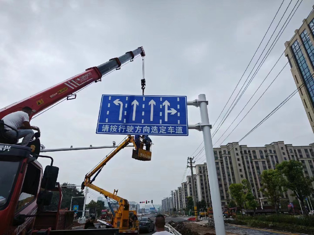 養生（shēng）大道    道路指向標誌牌